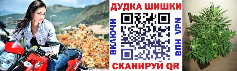 хочу наркоту  Ртищево  Канабис OG Kush 